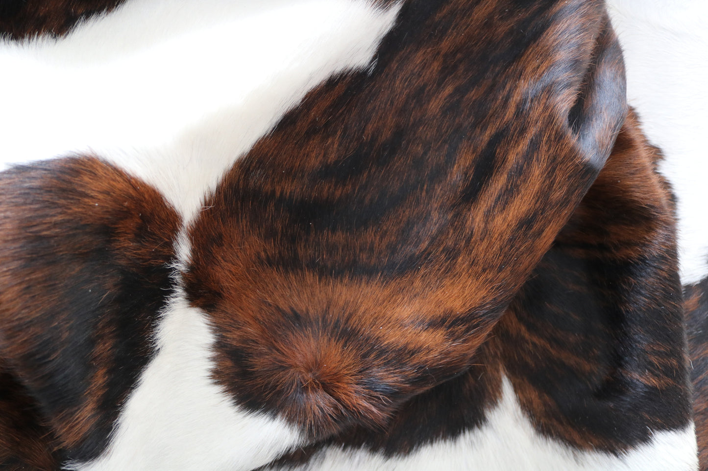 99901 Cowhide rug TRICOLOR Collection Quebecuir Premium