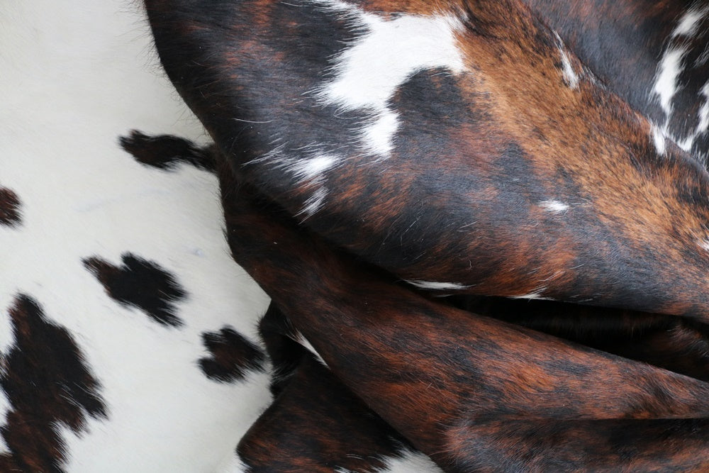 98292 - Cowhide Rug Tapis Peau de Vache TRICOLOR BIG SIZE XXL - Collection Quebecuir Premium