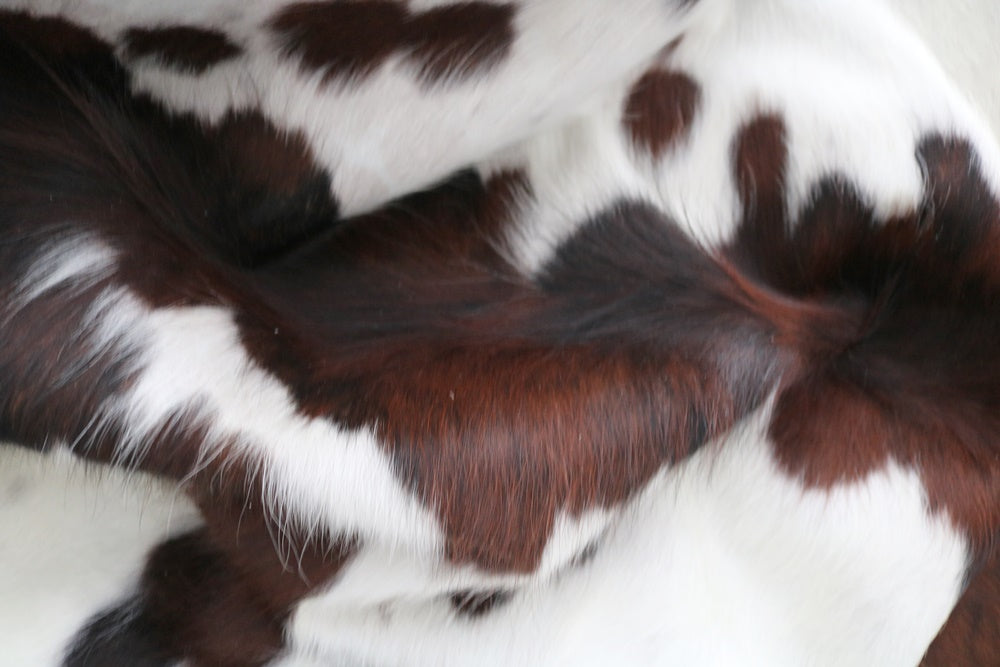 98295- Cowhide Rug TRICOLOR - Collection Quebecuir Premium