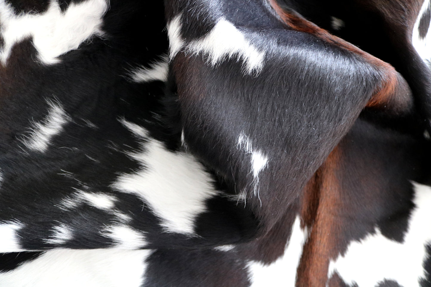 99928 Cowhide rug TRICOLOR Collection Quebecuir Premium