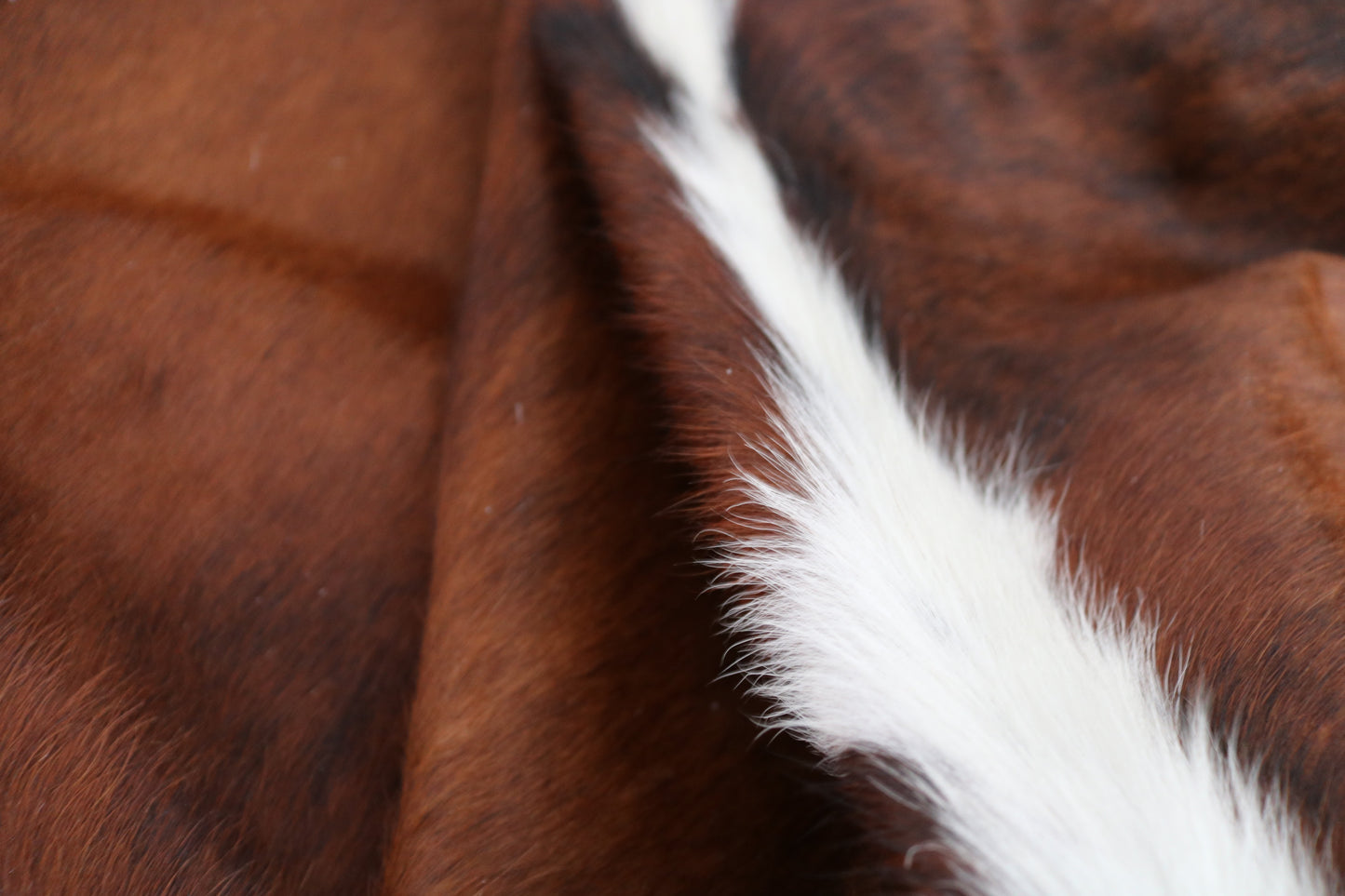 98305- Cowhide Rug TRICOLOR - Collection Quebecuir Premium