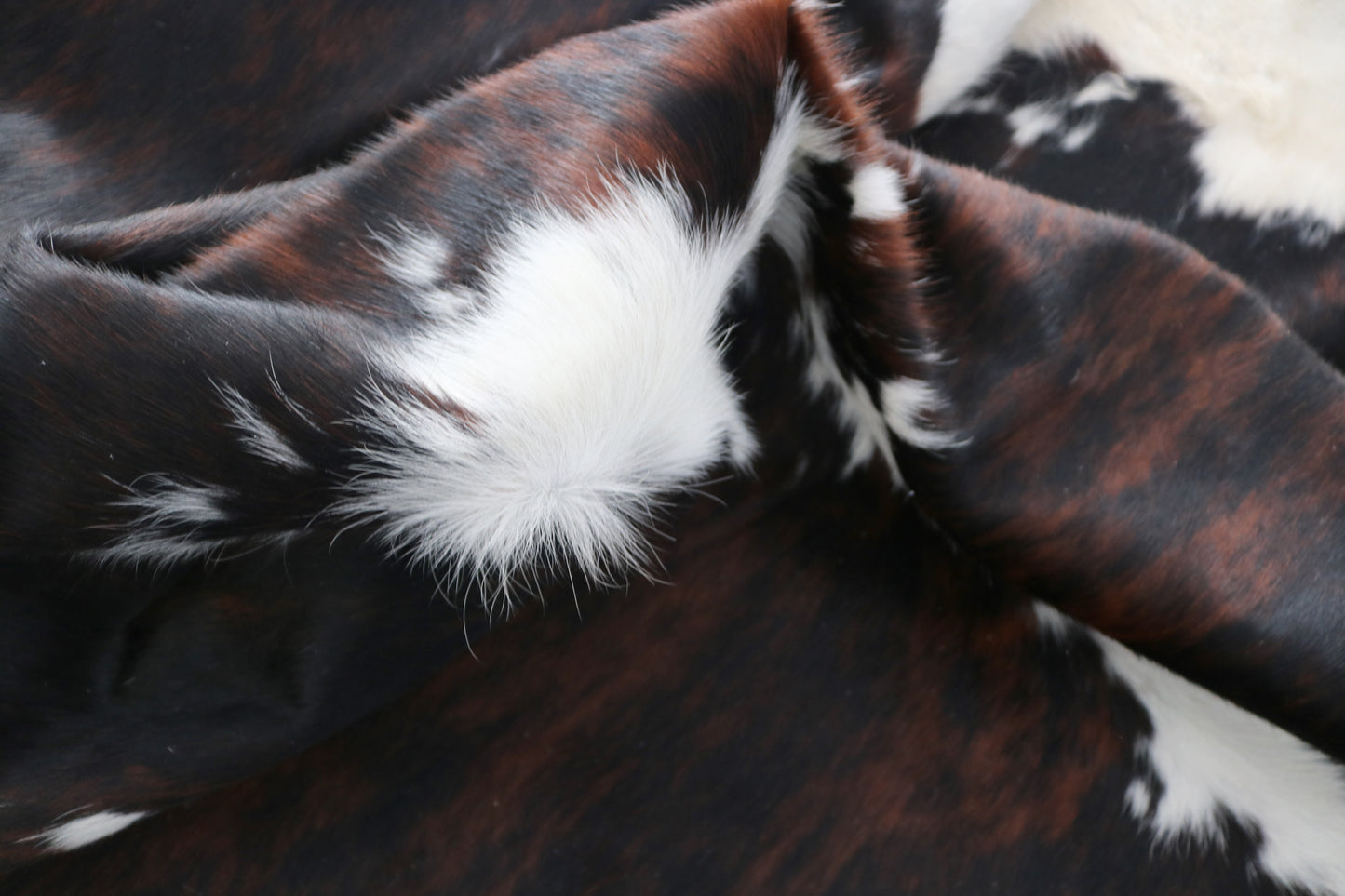 98337 - Cowhide Rug Tapis Peau de Vache BIG SIZE XXL TRICOLOR - Collection Quebecuir Premium