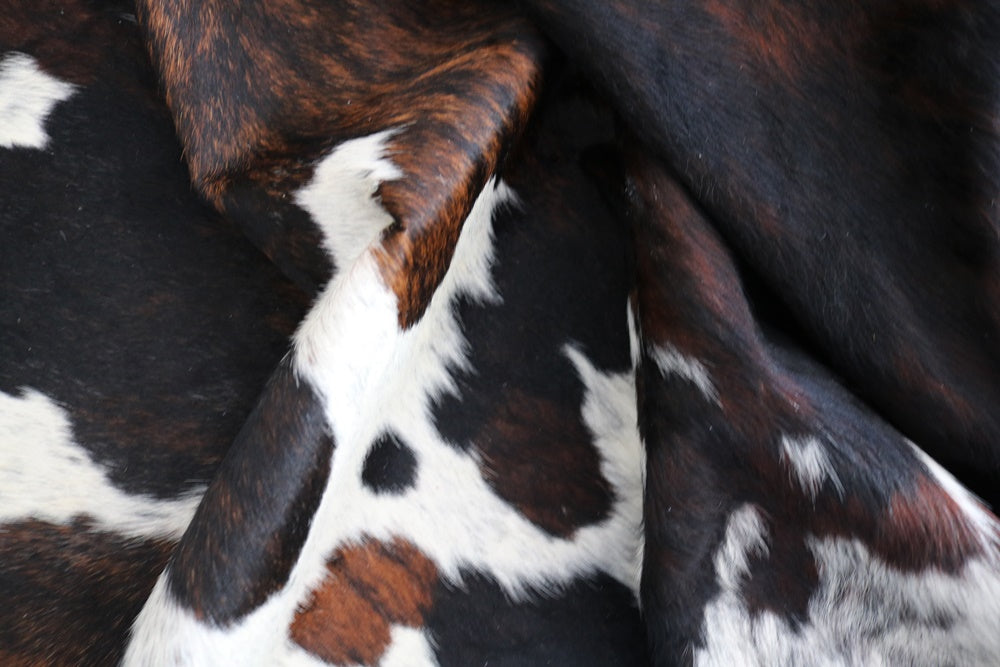 98339 - Cowhide Rug Tapis Peau de Vache BIG SIZE XXL TRICOLOR - Collection Quebecuir Premium