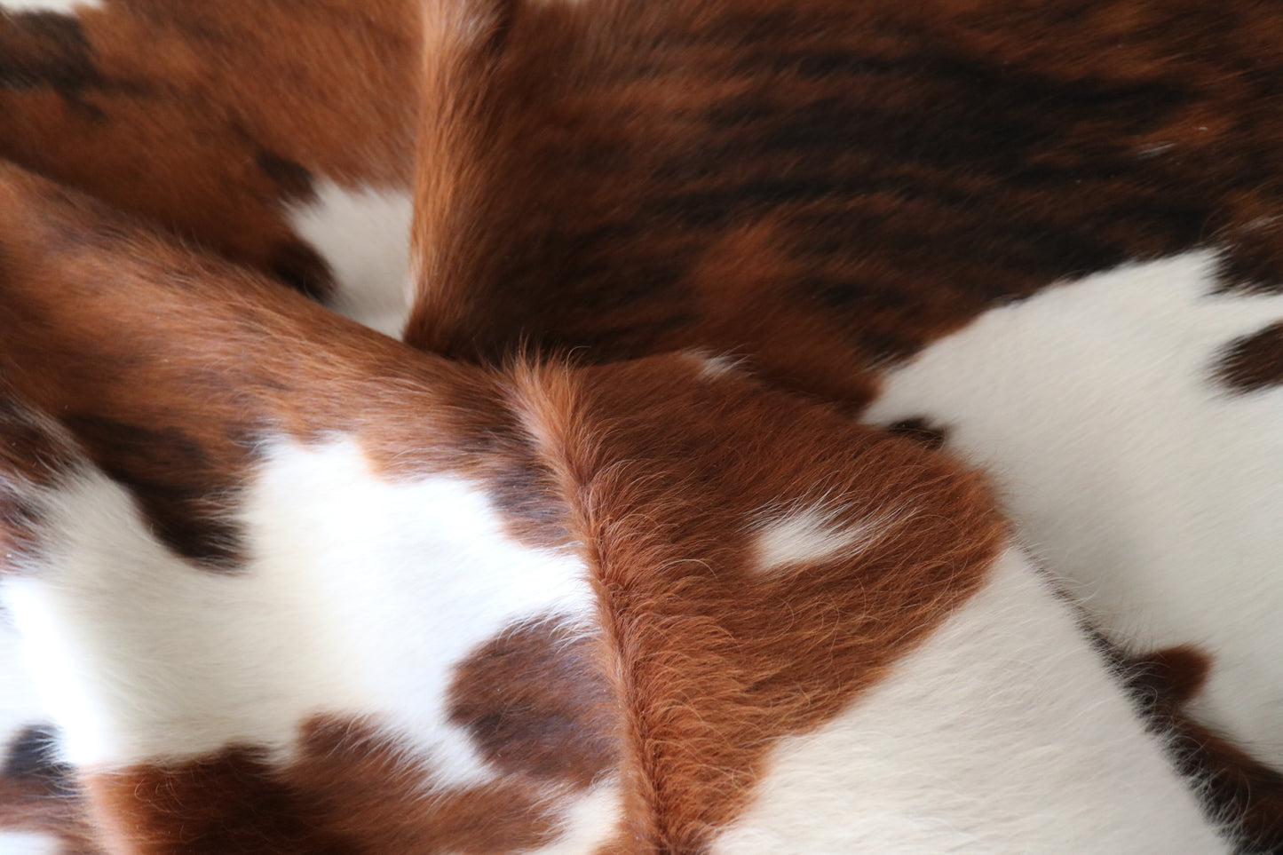 200567 Cowhide rug TRICOLOR Collection Quebecuir Premium