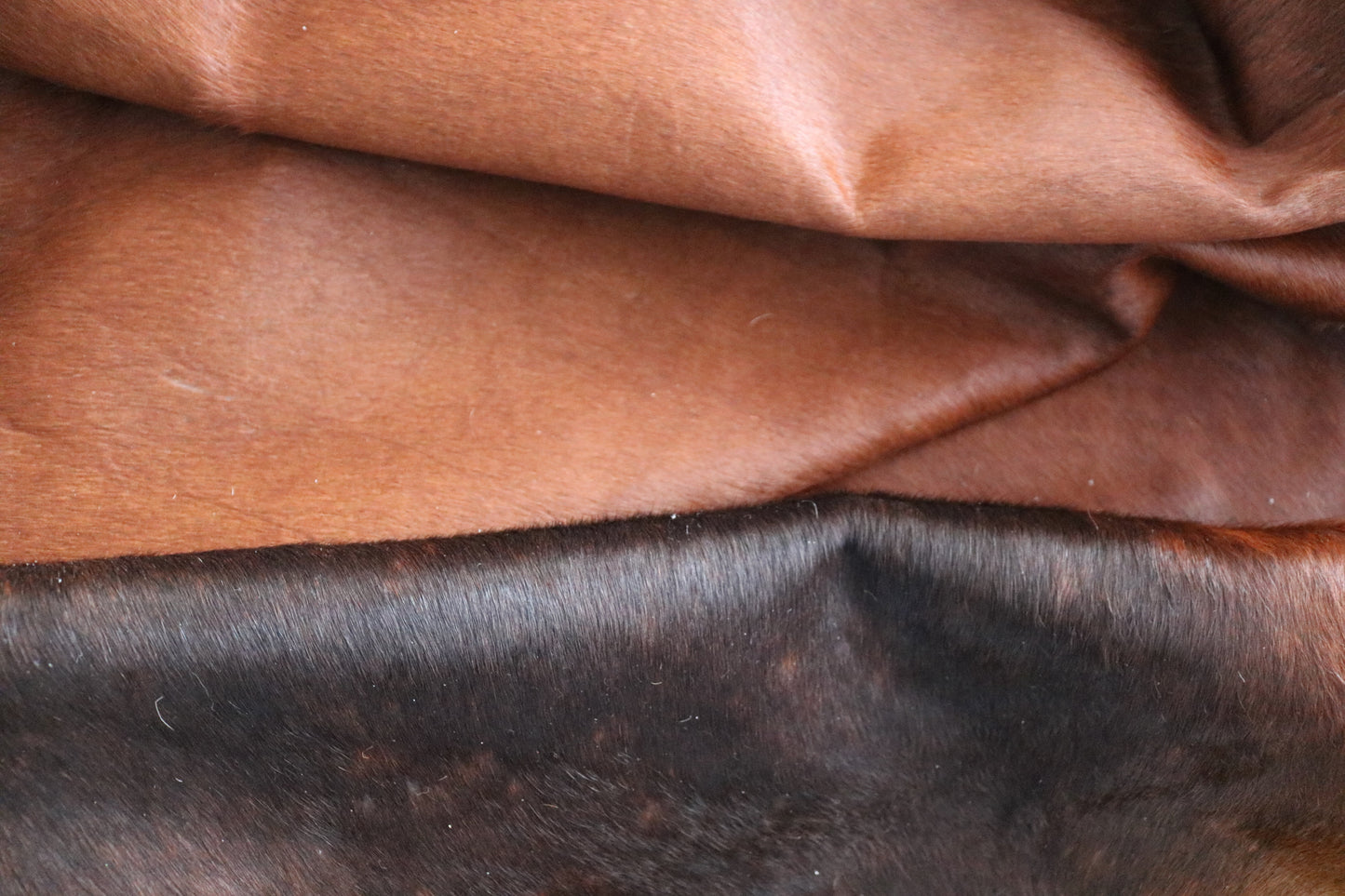 98344 - Cowhide Rug Tapis Peau de Vache SUPER BIG SIZE XXXL TRICOLOR - Collection Quebecuir Premium