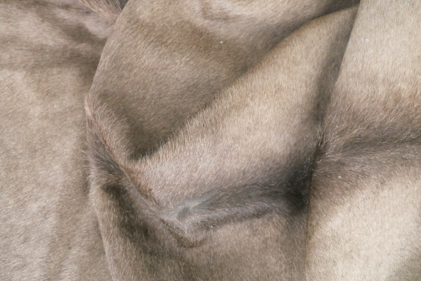 98345 - Cowhide Rug Tapis Peau de Vache SUPER BIG SIZE XXXL CHAROLAIS - Collection Quebecuir Premium