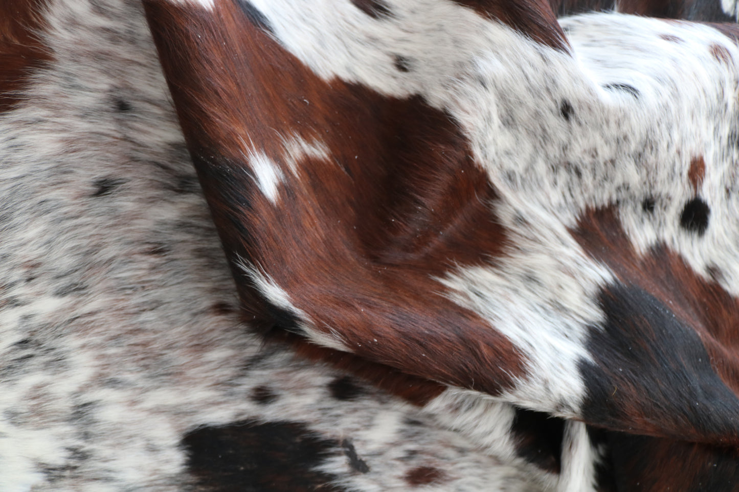 99939 Cowhide rug TRICOLOR Collection Quebecuir Premium