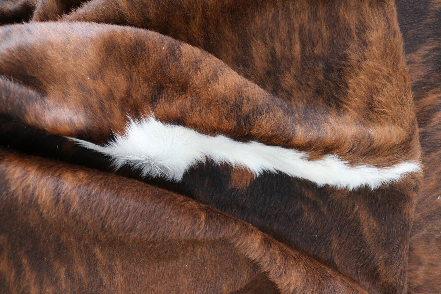 98359 - Cowhide Rug Tapis Peau de Vache SUPER BIG SIZE XXXL BRINDLE TRICOLOR - Collection Quebecuir Premium
