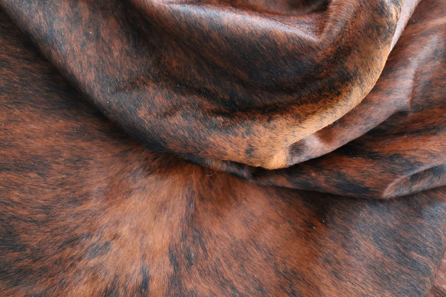 98366 - Cowhide Rug Tapis Peau de Vache SUPER BIG SIZE XXXL BRINDLE - Collection Quebecuir Premium