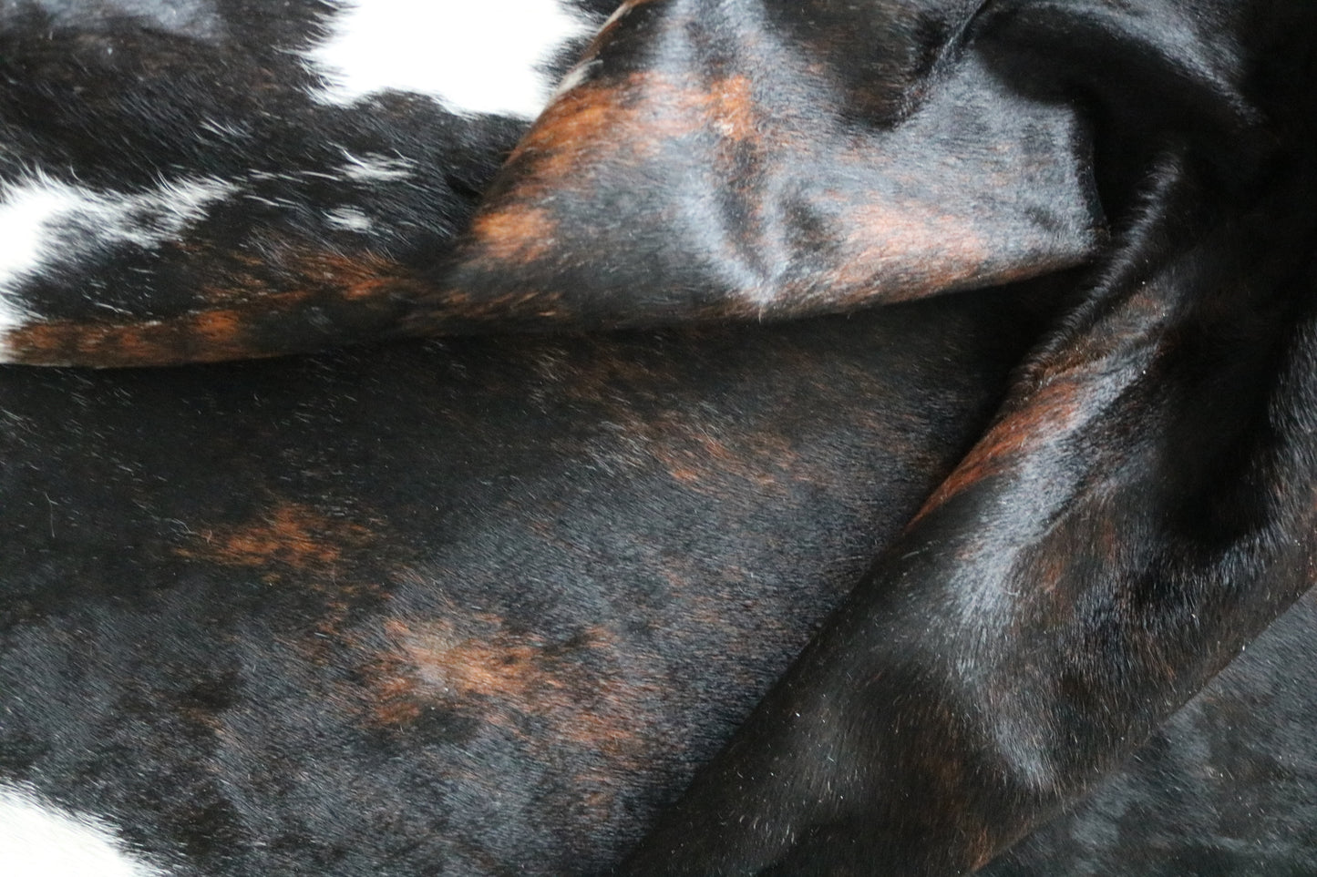 99958 Cowhide rug Collection Quebecuir Premium