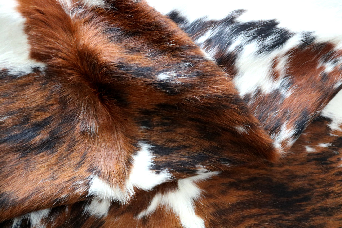 99960 Cowhide rug Collection Quebecuir Premium