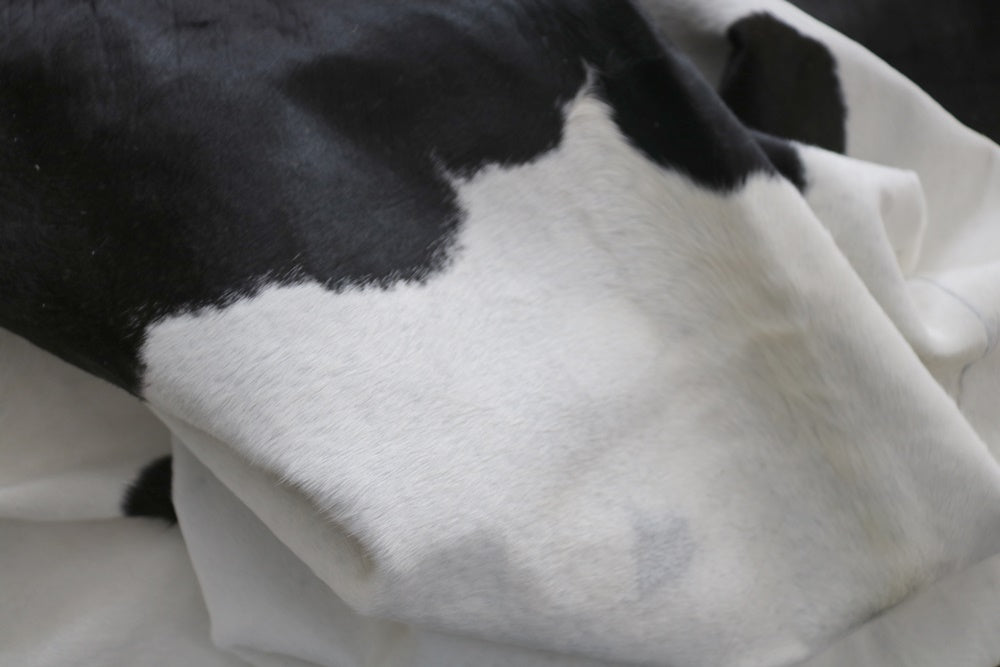 98371 Cowhide Rug - Collection Quebecuir Rustic