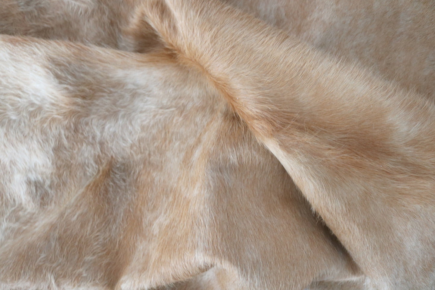 98372 - Cowhide Rug Tapis Peau de Vache SUPER BIG SIZE XXXL - Collection Quebecuir Pre