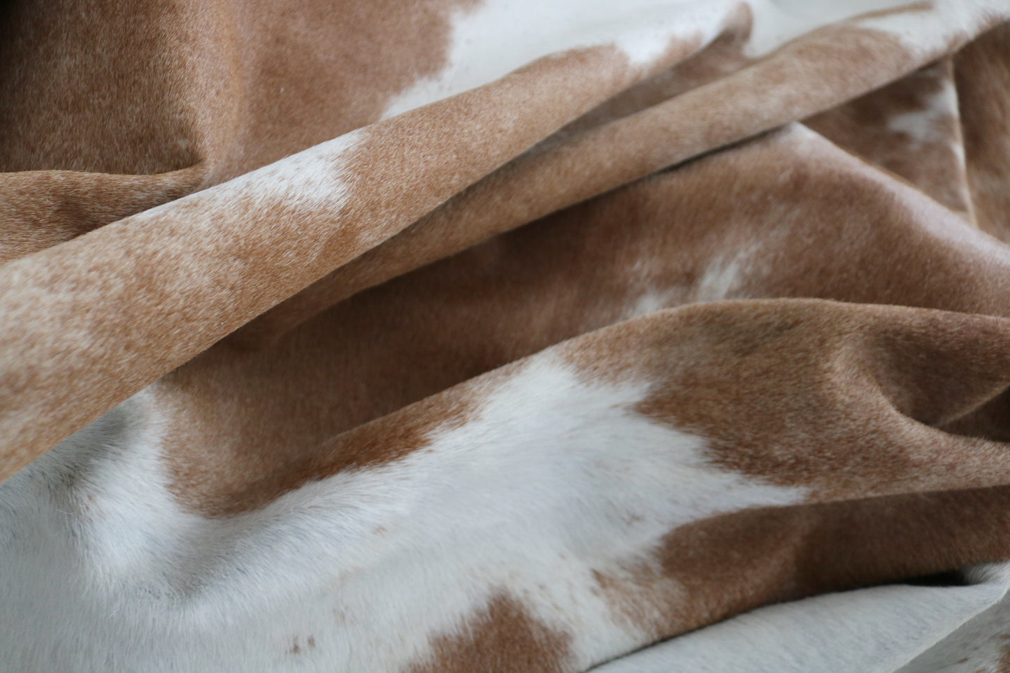 98374 - Cowhide Rug Tapis Peau de Vache SUPER BIG SIZE XXXL - Collection Quebecuir Premium