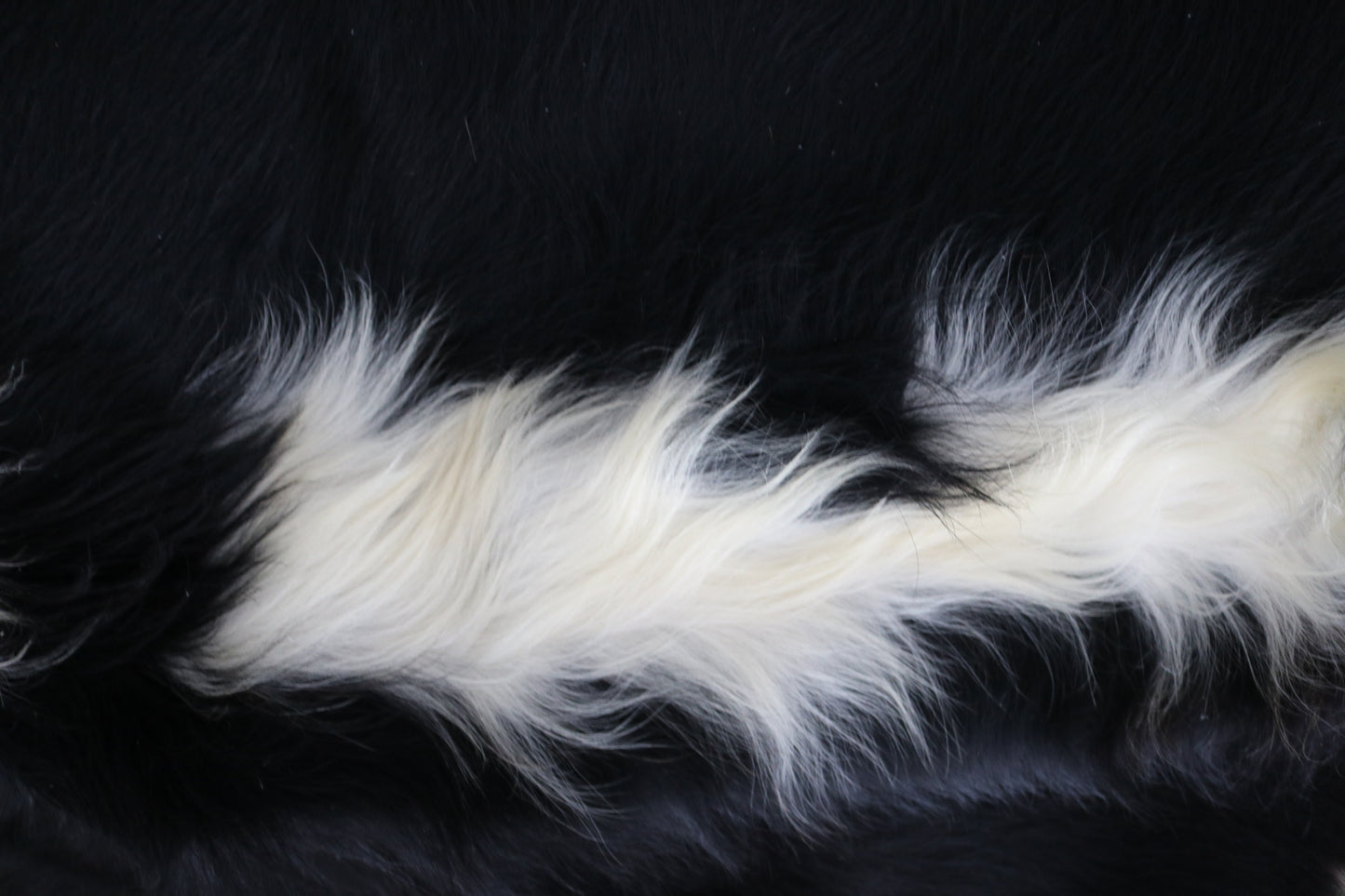 98377 - Cowhide Rug Tapis Peau de Vache BLACK & WHITE SUPER BIG SIZE XXXL - Collection Quebecuir Premium