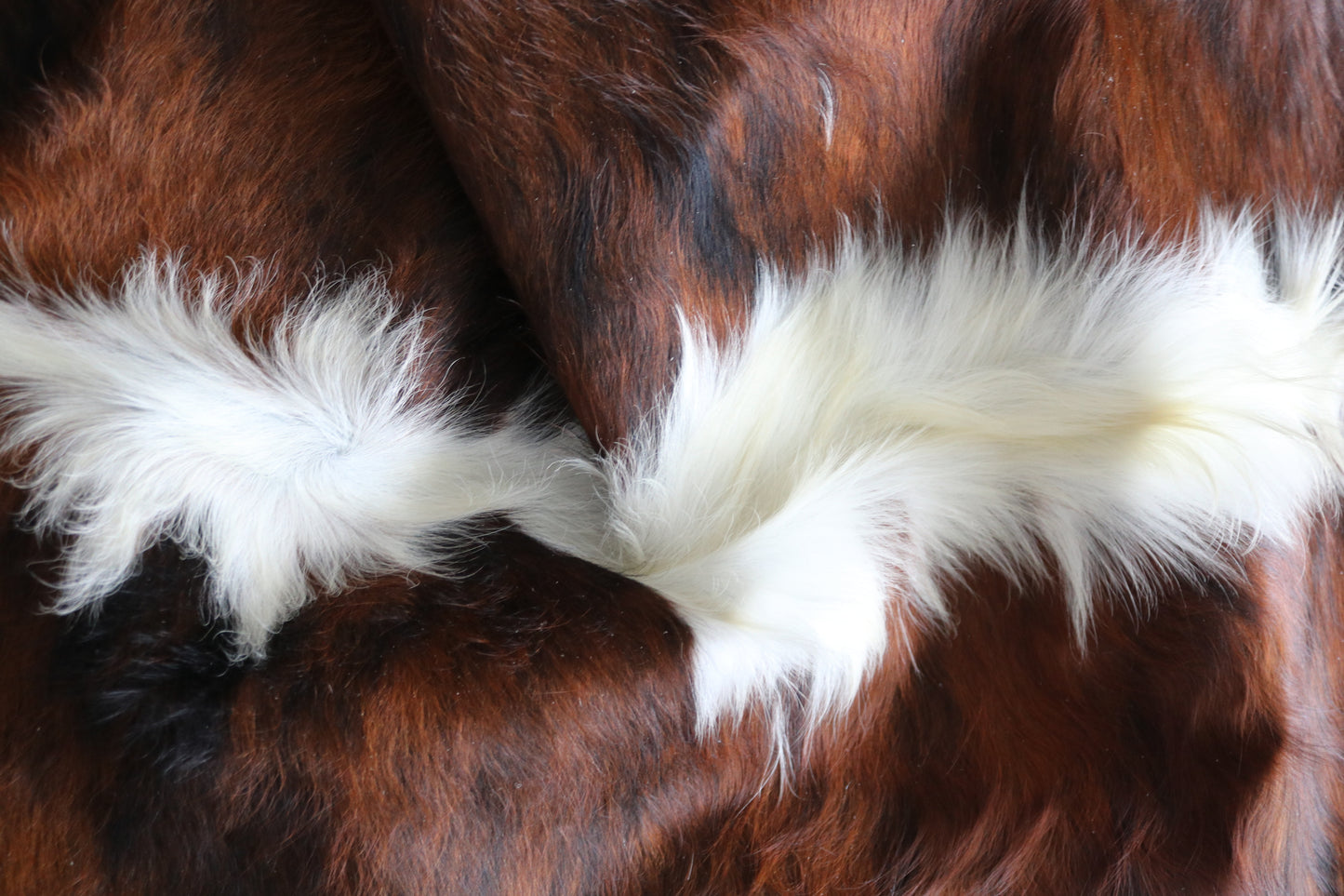 200578 Cowhide rug TRICOLOR Collection Quebecuir Premium