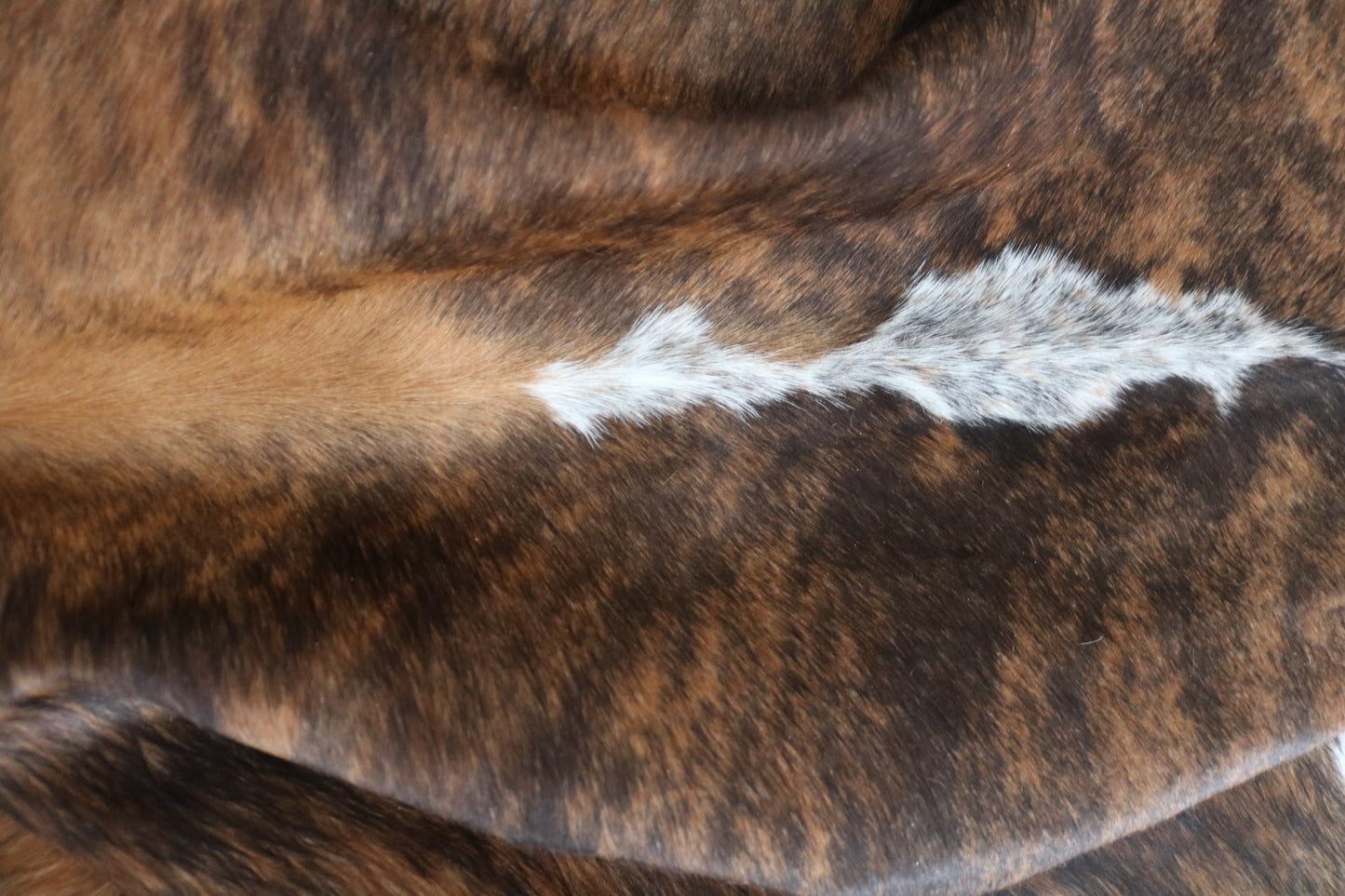 98390 - Cowhide Rug Tapis Peau de Vache TRICOLOR - Collection Quebecuir Premium