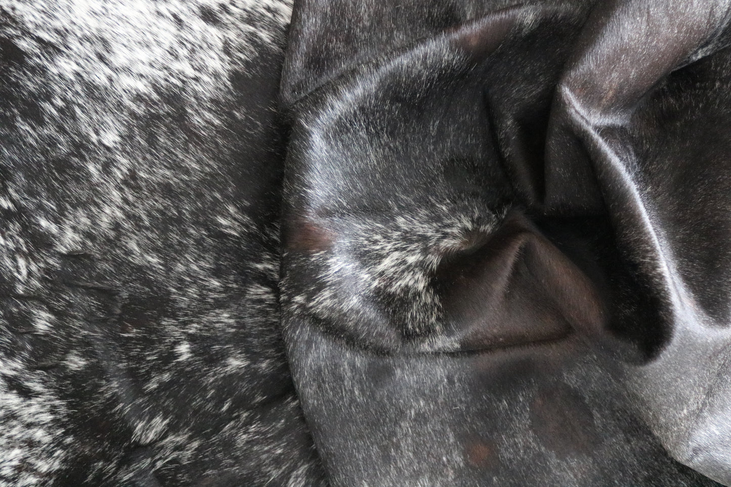 99982 Cowhide rug TRICOLOR Collection Quebecuir Premium SUPER BIG SIZE XXXL