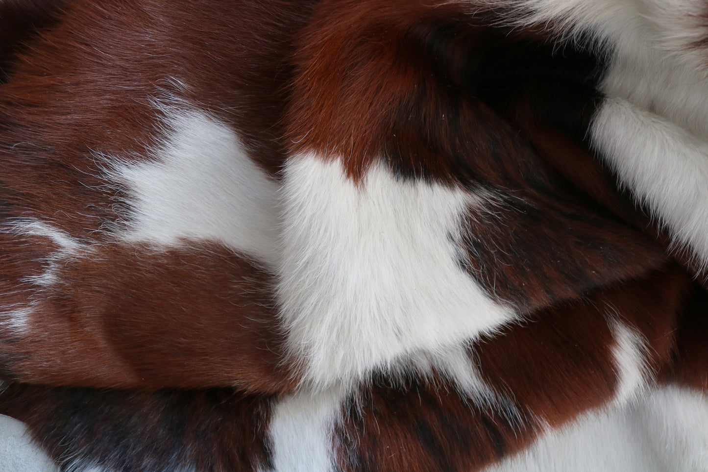 99988 Cowhide rug TRICOLOR Collection Quebecuir Premium