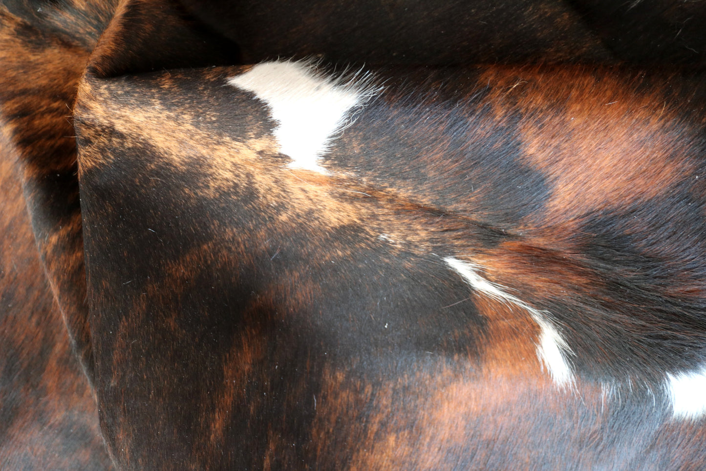 99990 Cowhide rug TRICOLOR Collection Quebecuir Premium