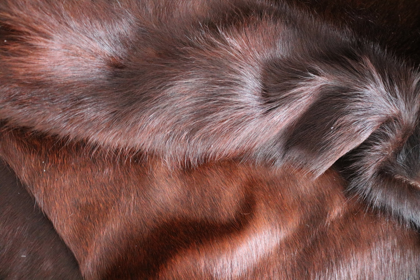 98407- Cowhide Rug Tapis Peau de Vache CHAROLAIS - Collection Quebecuir Premium