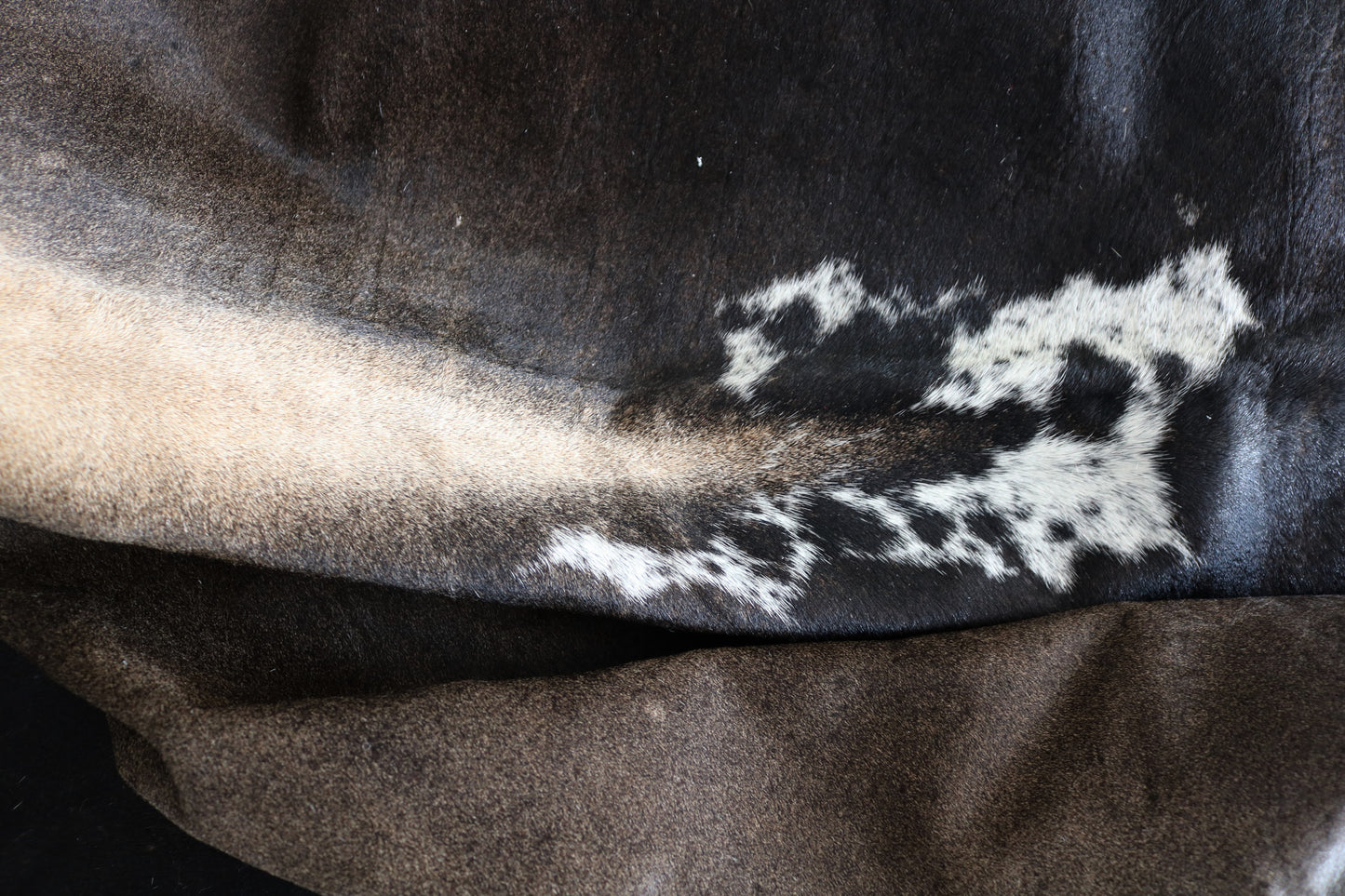 98409 - Cowhide Rug Tapis Peau de Vache BIG SIZE XXXL TRICOLOR - Collection Quebecuir Premium