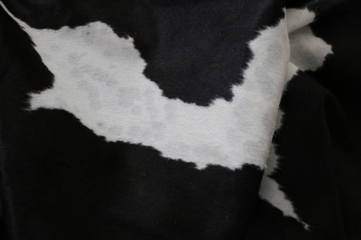 98413 - Cowhide Rug Tapis Peau de Vache BIG SIZE XXL - Collection Quebecuir Premium