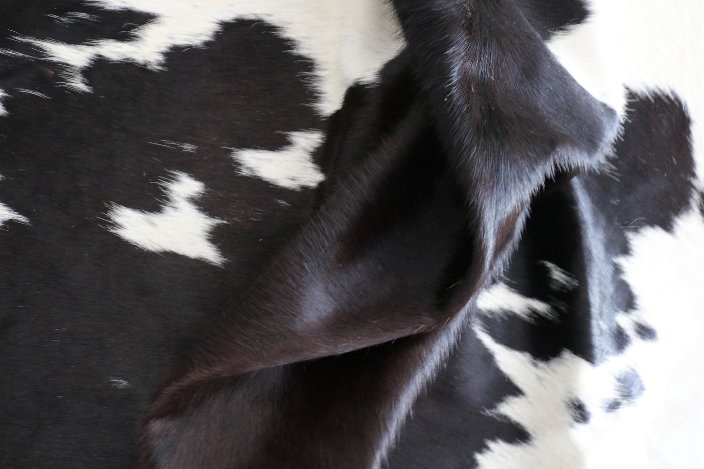 98427 - Cowhide Rug Tapis Peau de Vache BIG SIZE XXL - Collection Quebecuir Premium