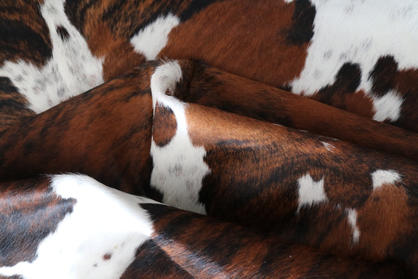 100027 Cowhide rug TRICOLOR Collection Quebecuir Premium