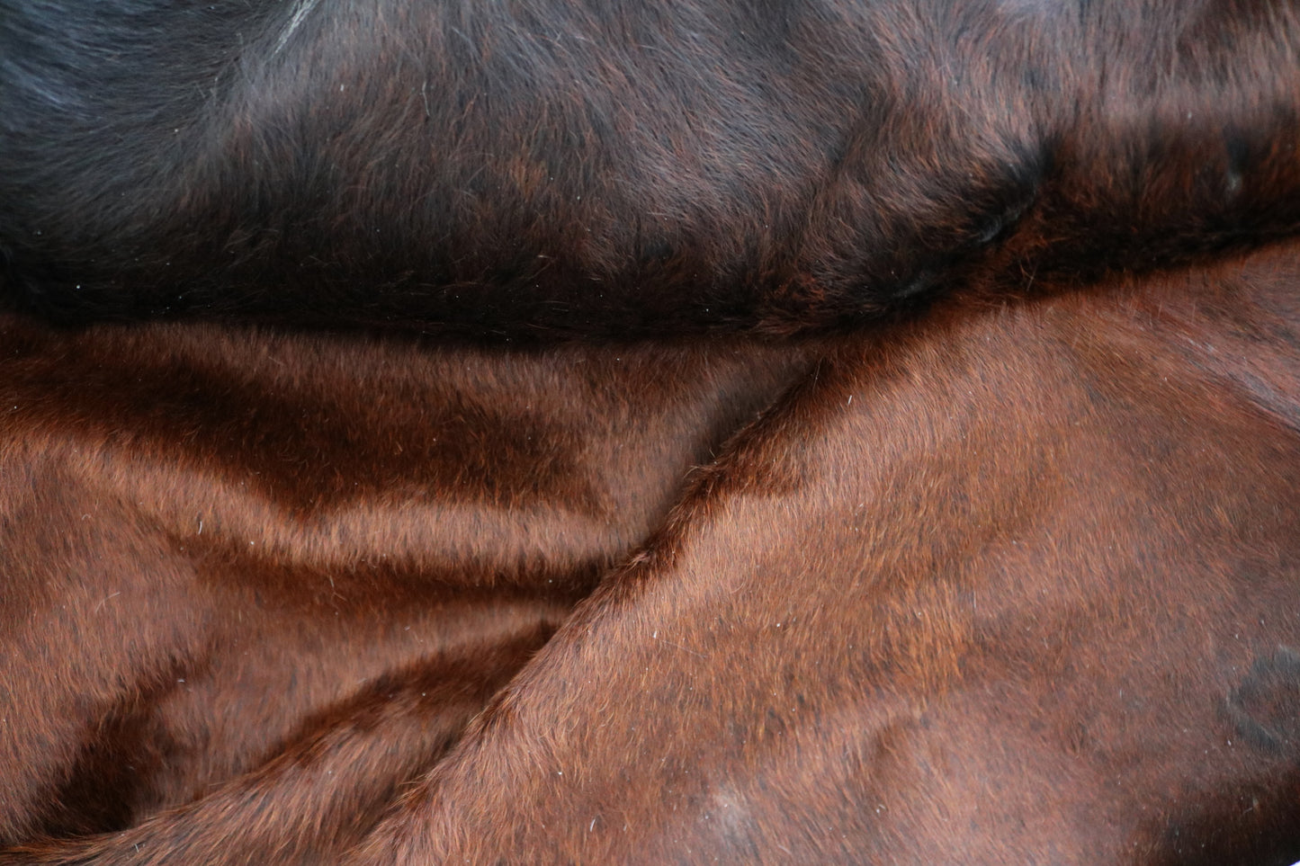 98428 - Cowhide Rug Tapis Peau de Vache BIG SIZE XXL - Collection Quebecuir Premium