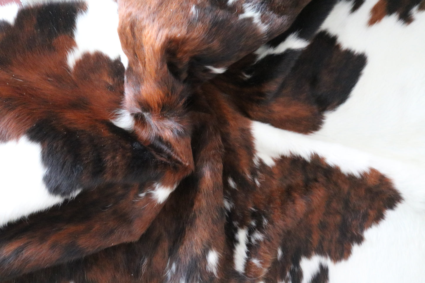 100029 Cowhide rug TRICOLOR Collection Quebecuir Premium