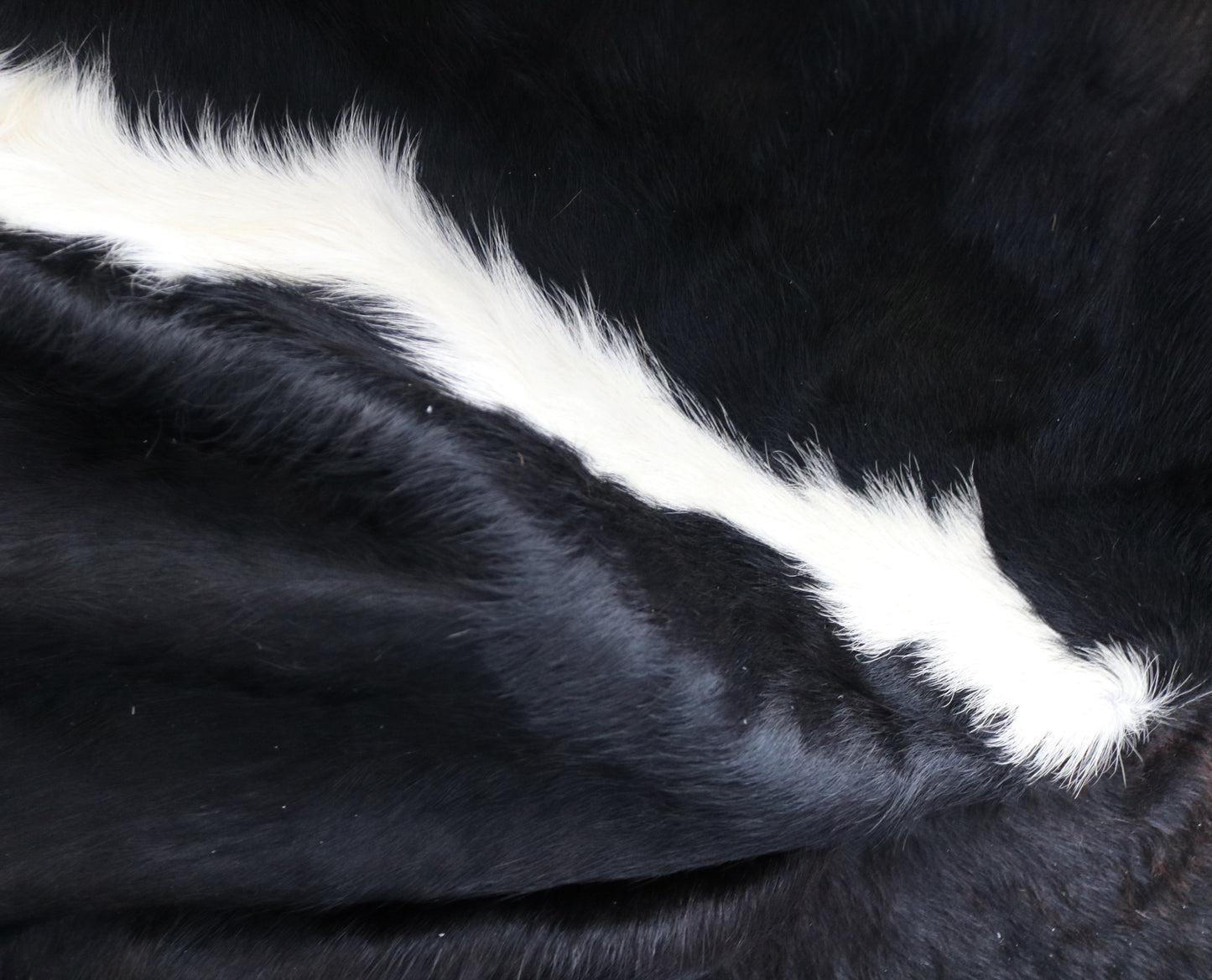 98432 - Cowhide Rug Tapis Peau de Vache BIG SIZE XXL - Collection Quebecuir Premium