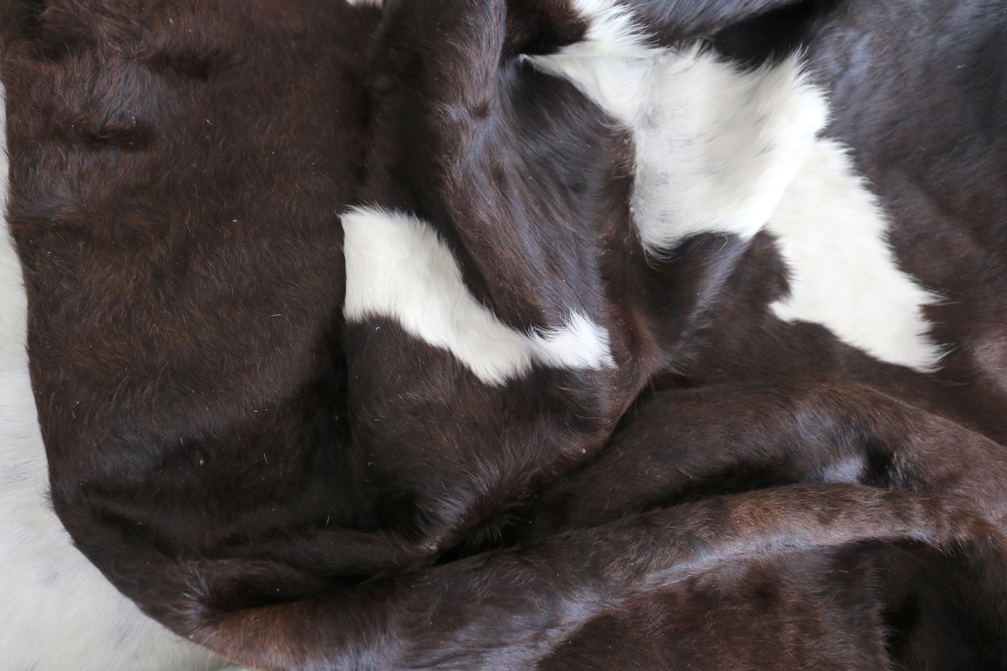 98435 - Cowhide Rug Tapis Peau de Vache BIG SIZE XXL TRICOLOR - Collection Quebecuir Premium