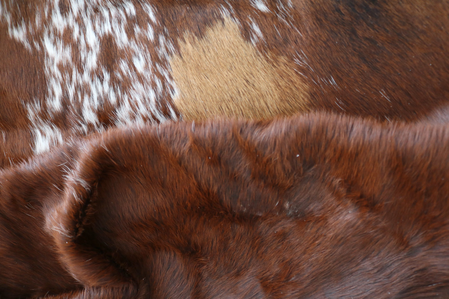 98436 - Cowhide Rug Tapis Peau de Vache BIG SIZE XXL - Collection Quebecuir Premium