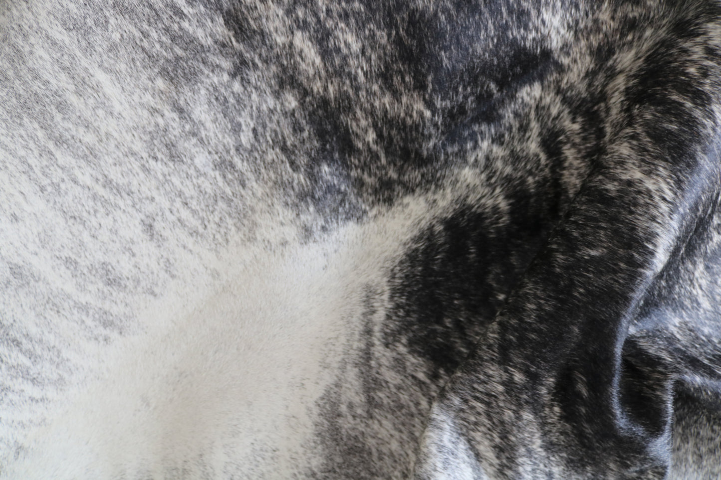 200580 Cowhide rug Collection Quebecuir Premium