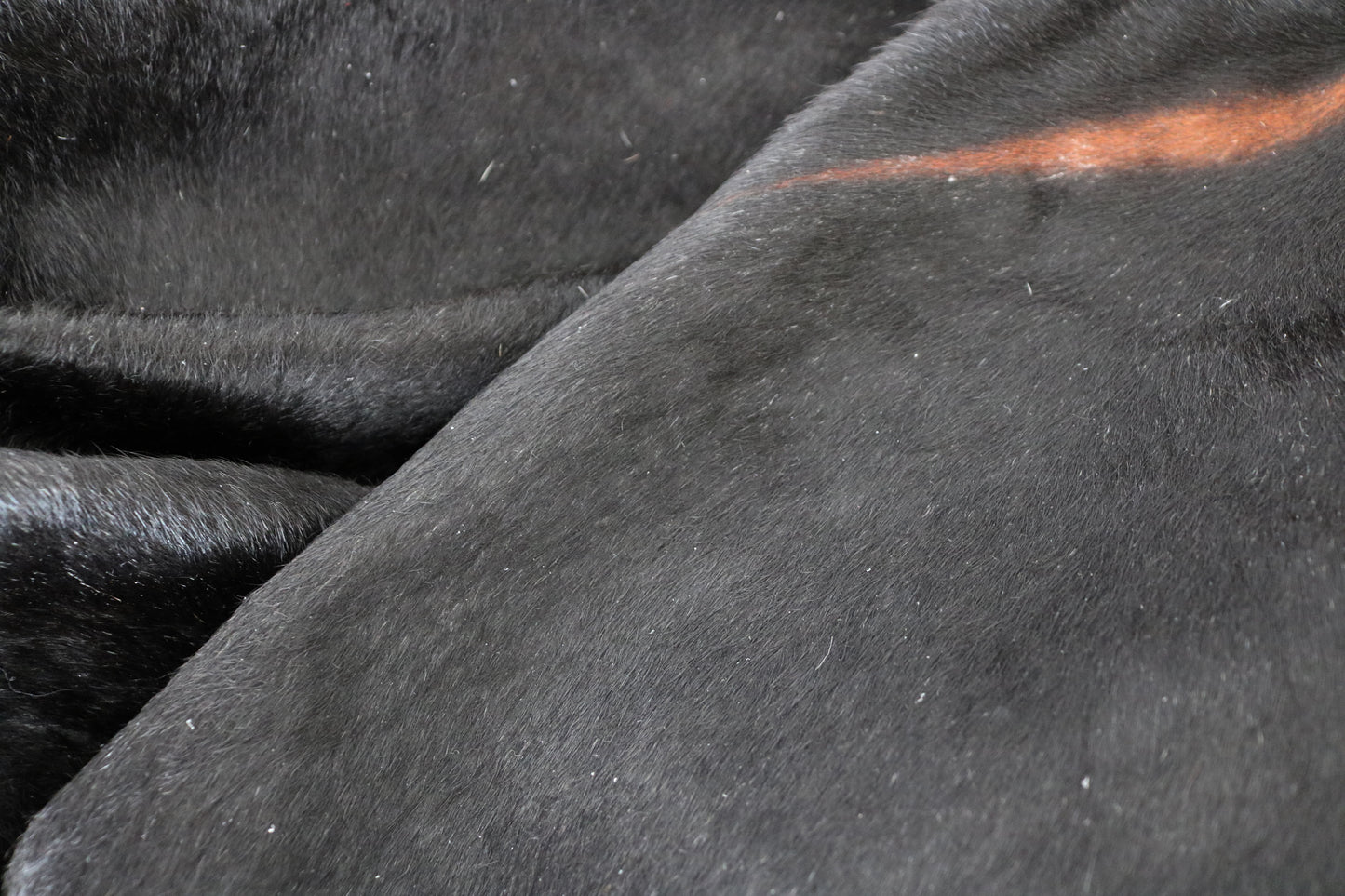 98439- Cowhide Rug Tapis Peau de Vache BIG SIZE XXL - Collection Quebecuir Premium