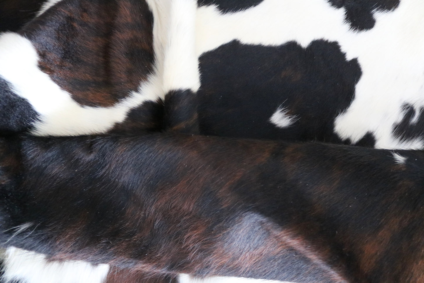 200584 Cowhide rug Collection Quebecuir Premium