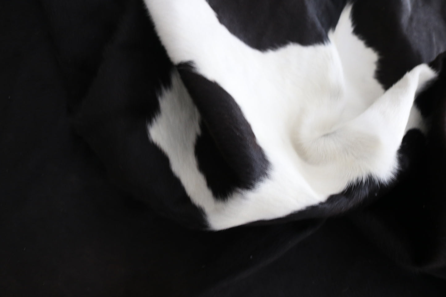 98453- Cowhide Rug Tapis Peau de Vache BLACK & WHITE - Collection Quebecuir Premium