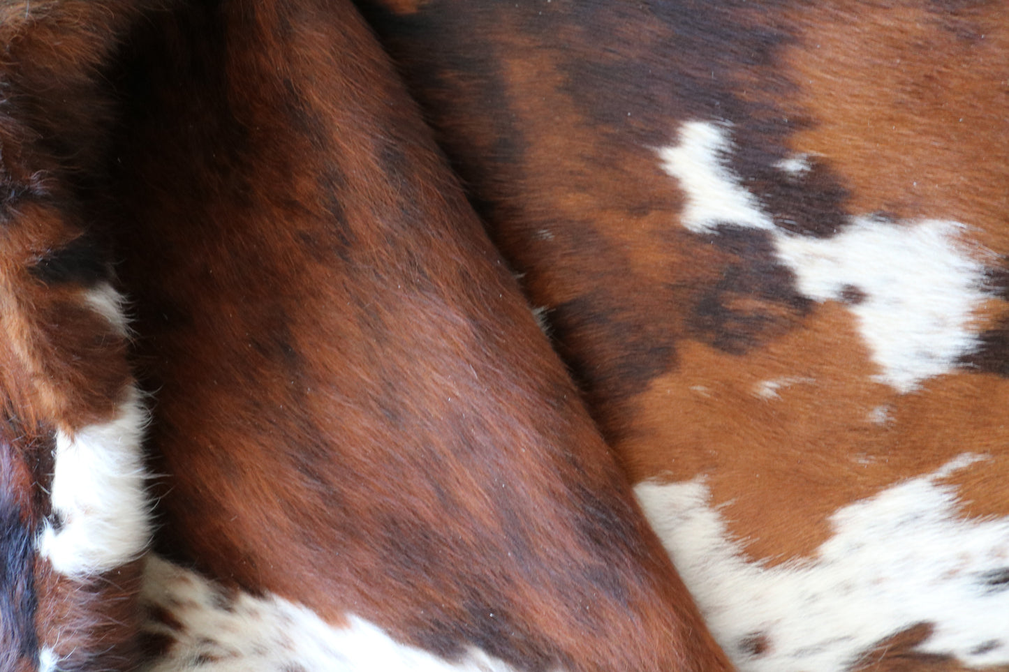 100051 Cowhide rug Collection Quebecuir Premium