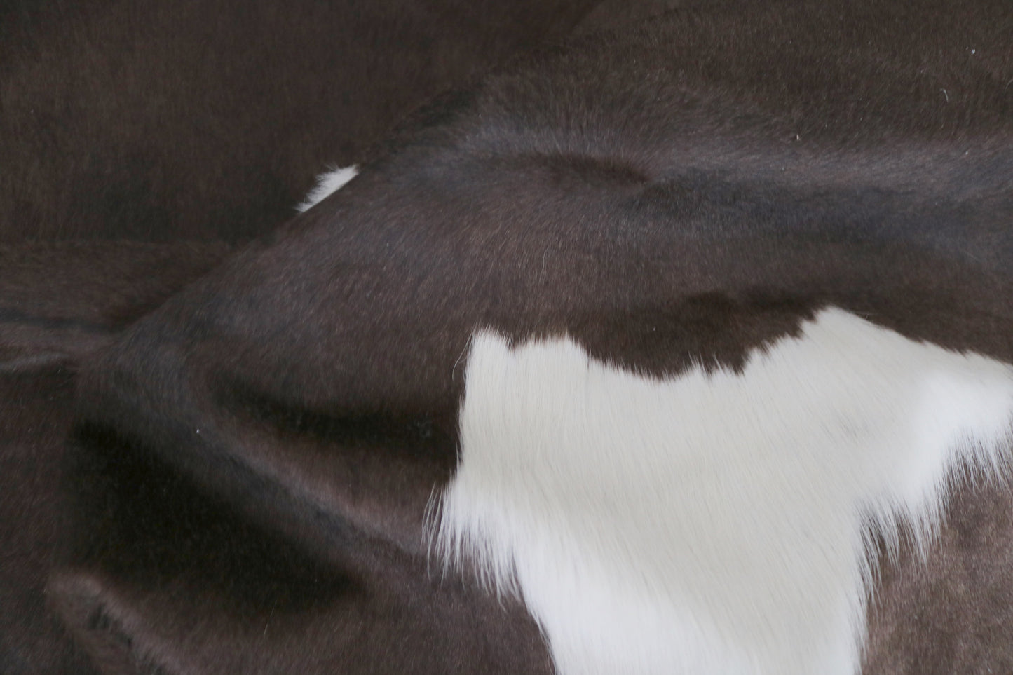 98479- Cowhide Rug Tapis Peau de Vache BIG SIZE XXL - Collection Quebecuir Premium