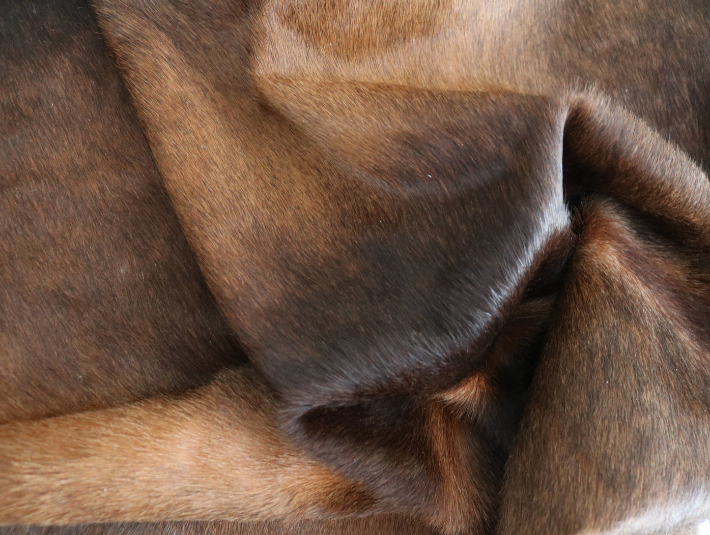 98480- Cowhide Rug Tapis Peau de Vache BIG SIZE XXL - Collection Quebecuir Premium