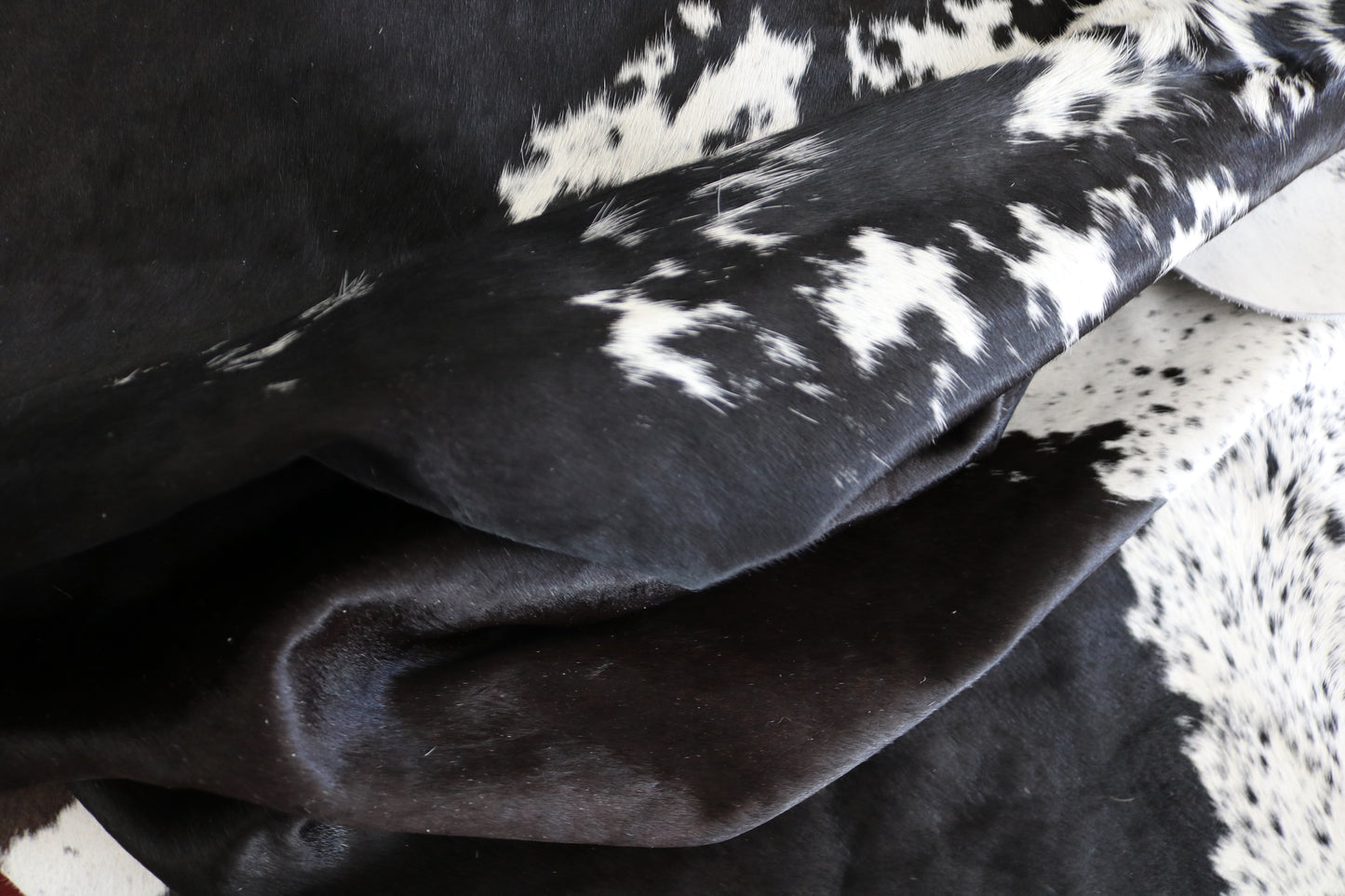 98471- Cowhide Rug Tapis Peau de Vache BIG SIZE XXL - Collection Quebecuir Premium