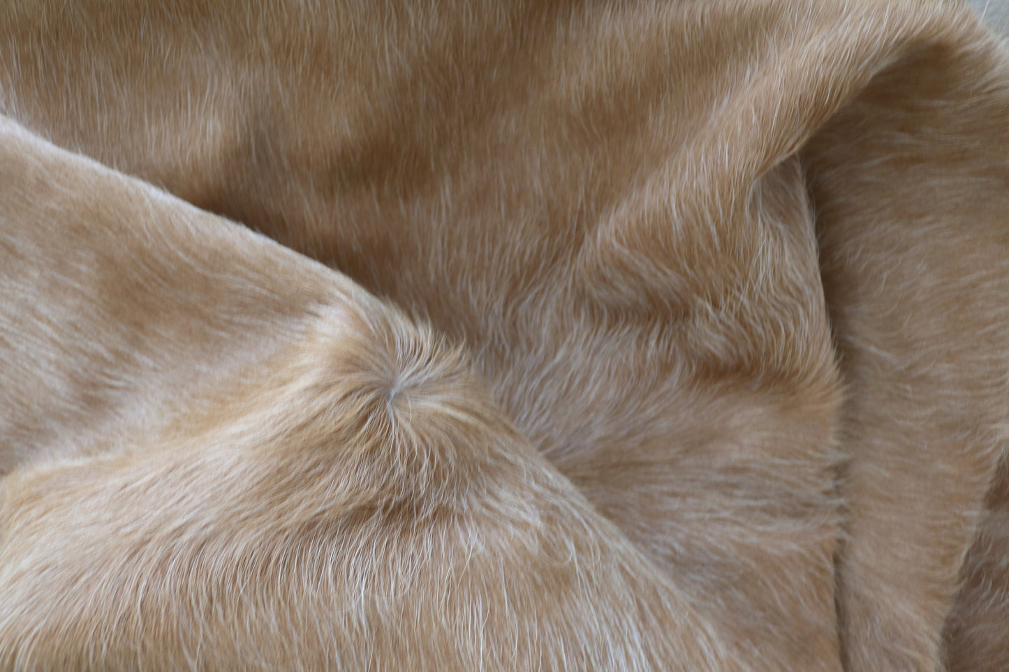 98474- Cowhide Rug Tapis Peau de Vache BIG SIZE XXL - Collection Quebecuir Premium