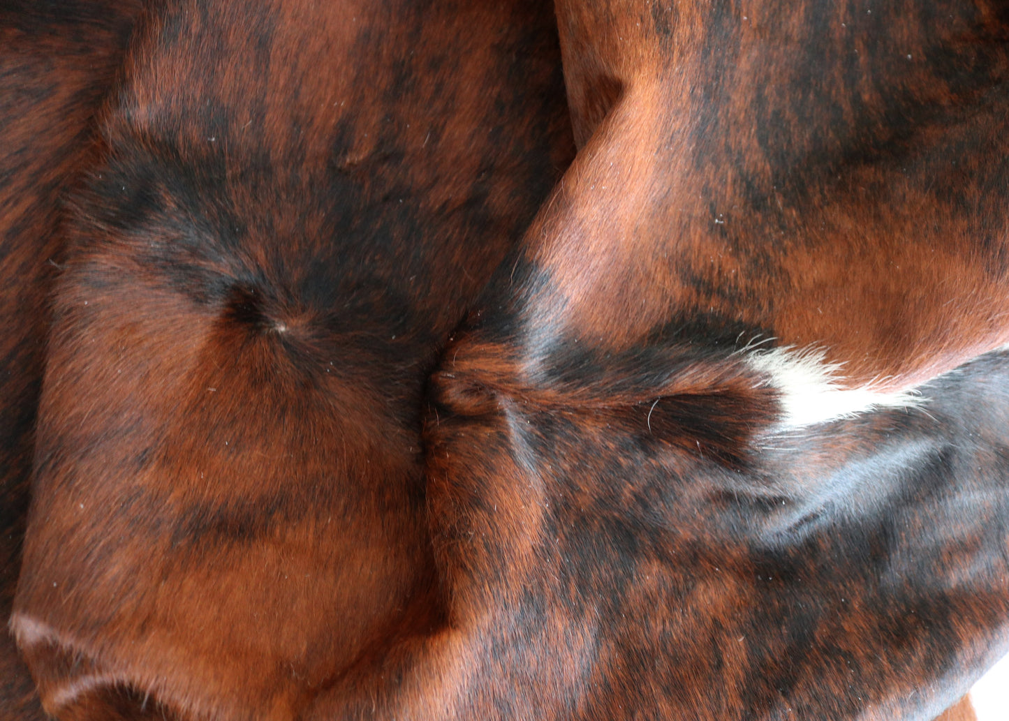 98476- Cowhide Rug Tapis Peau de Vache BIG SIZE XXL - Collection Quebecuir Premium