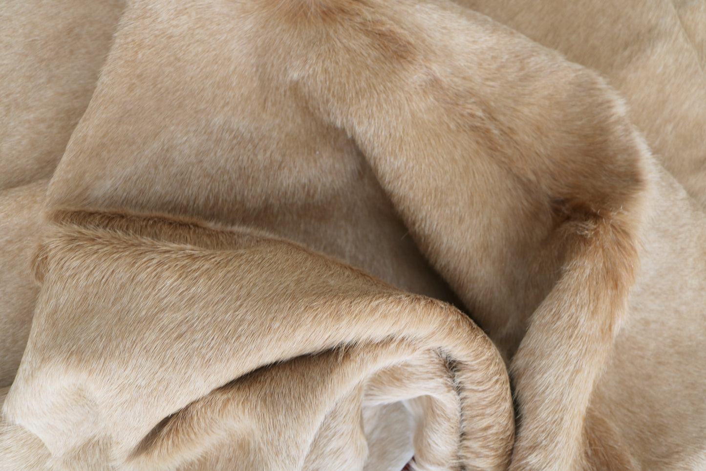 98484 - Cowhide Rug Tapis Peau de Vache SUPER BIG SIZE XXXL - Collection Quebecuir Premium