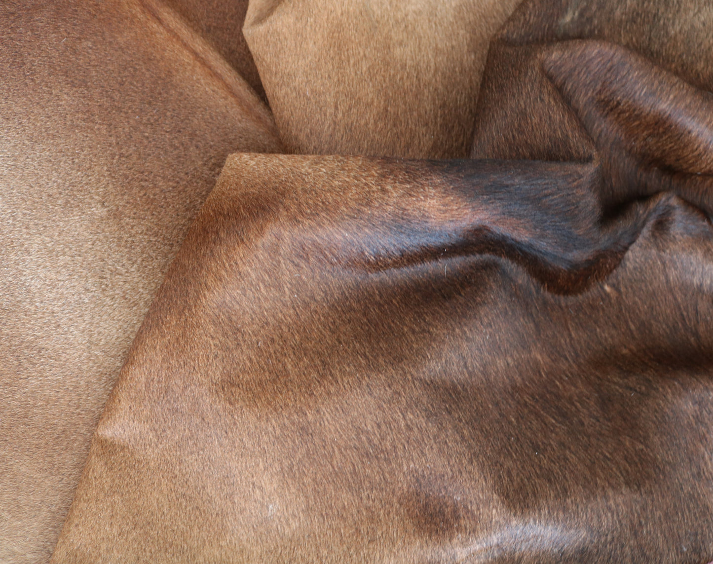 98485 - Cowhide Rug Tapis Peau de Vache SUPER BIG SIZE XXXL - Collection Quebecuir Premium