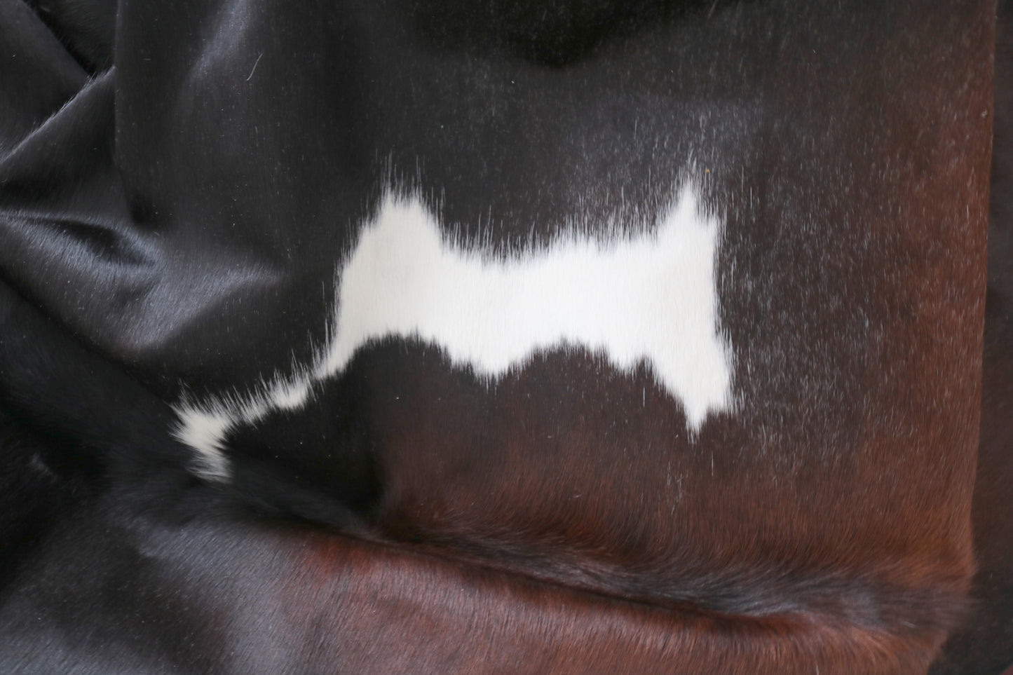 98486 - Cowhide Rug Tapis Peau de Vache SUPER BIG SIZE XXXL - Collection Quebecuir Premium