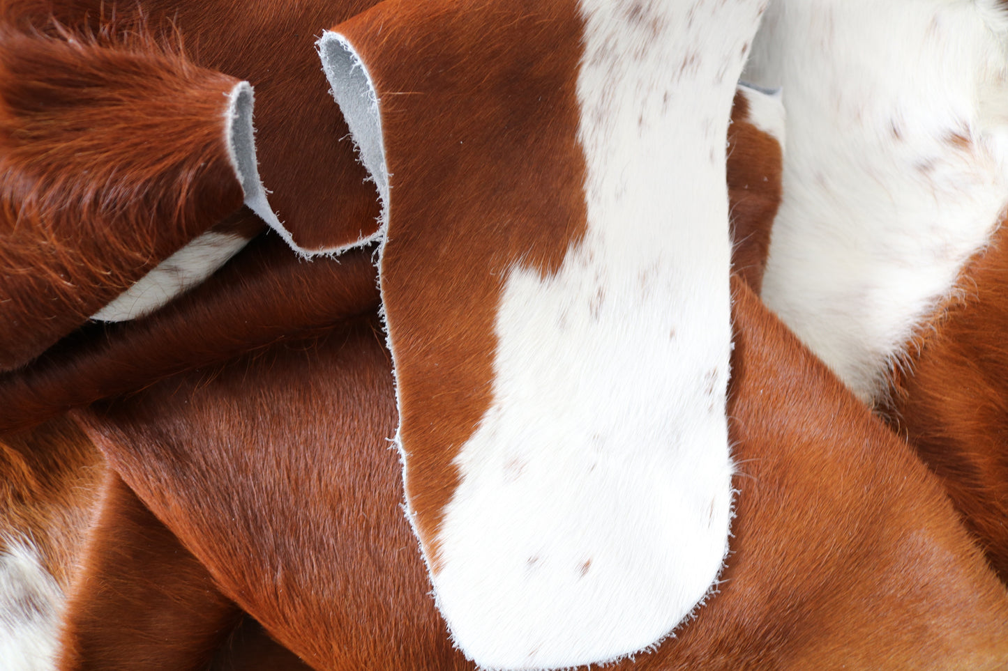 98489 - Cowhide Rug Tapis Peau de Vache SUPER BIG SIZE XXXL - Collection Quebecuir Premium