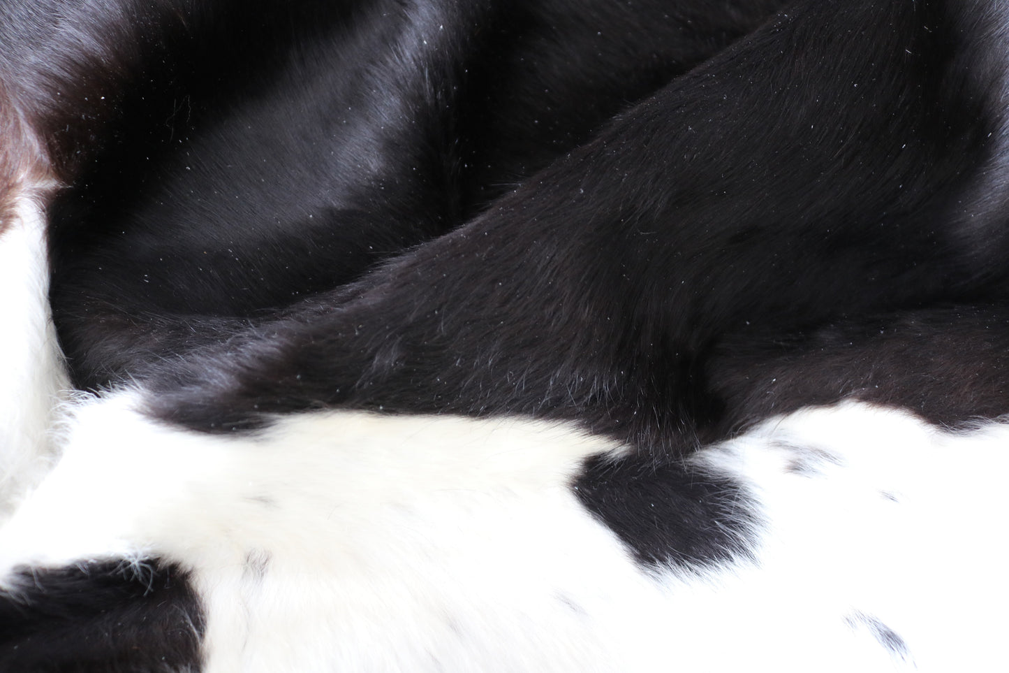 98491 - Cowhide Rug Tapis Peau de Vache SUPER BIG SIZE XXXL - Collection Quebecuir Premium