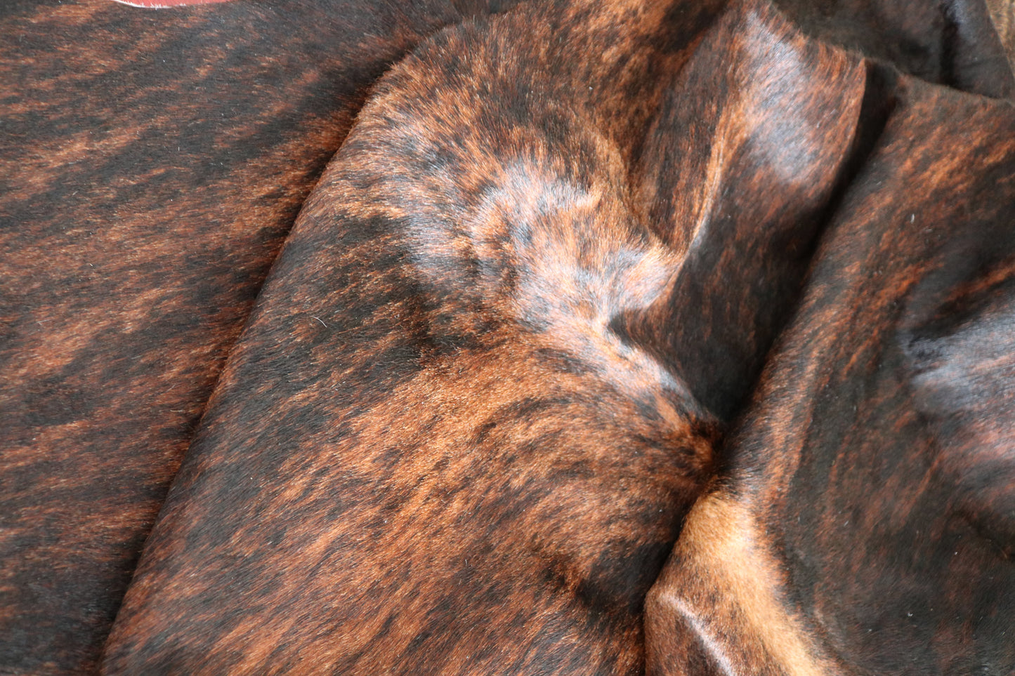 98492 - Cowhide Rug Tapis Peau de Vache SUPER BIG SIZE XXXL - Collection Quebecuir Premium